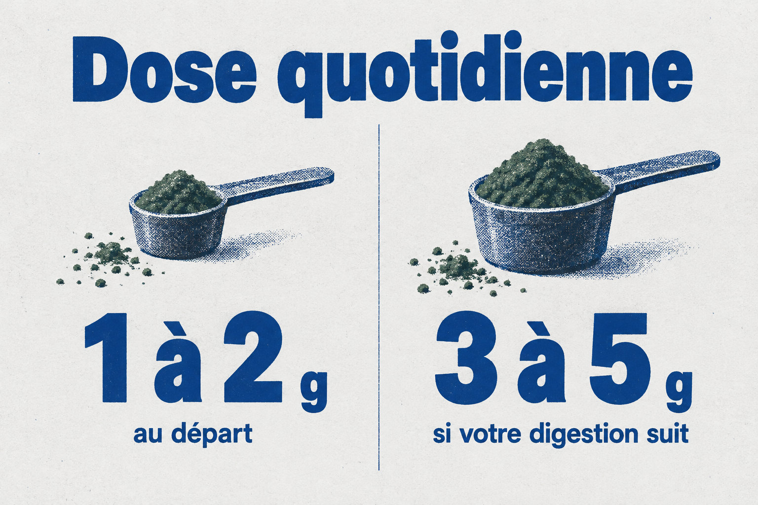 Commencez par 1 à 2 g par jour, puis passez à 3 à 5 g si votre digestion suit.